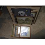 Large Quantity of Framed Prints