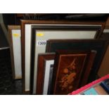 Framed Prints