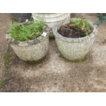 Pair of Circular Concrete Garden Planters