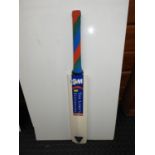 Cricket Bat