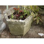 Hexagonal Concrete Garden Planter