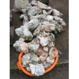 Quantity of Rockery Stone