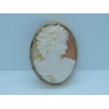 Shell Cameo Brooch Set in 9ct Yellow Gold