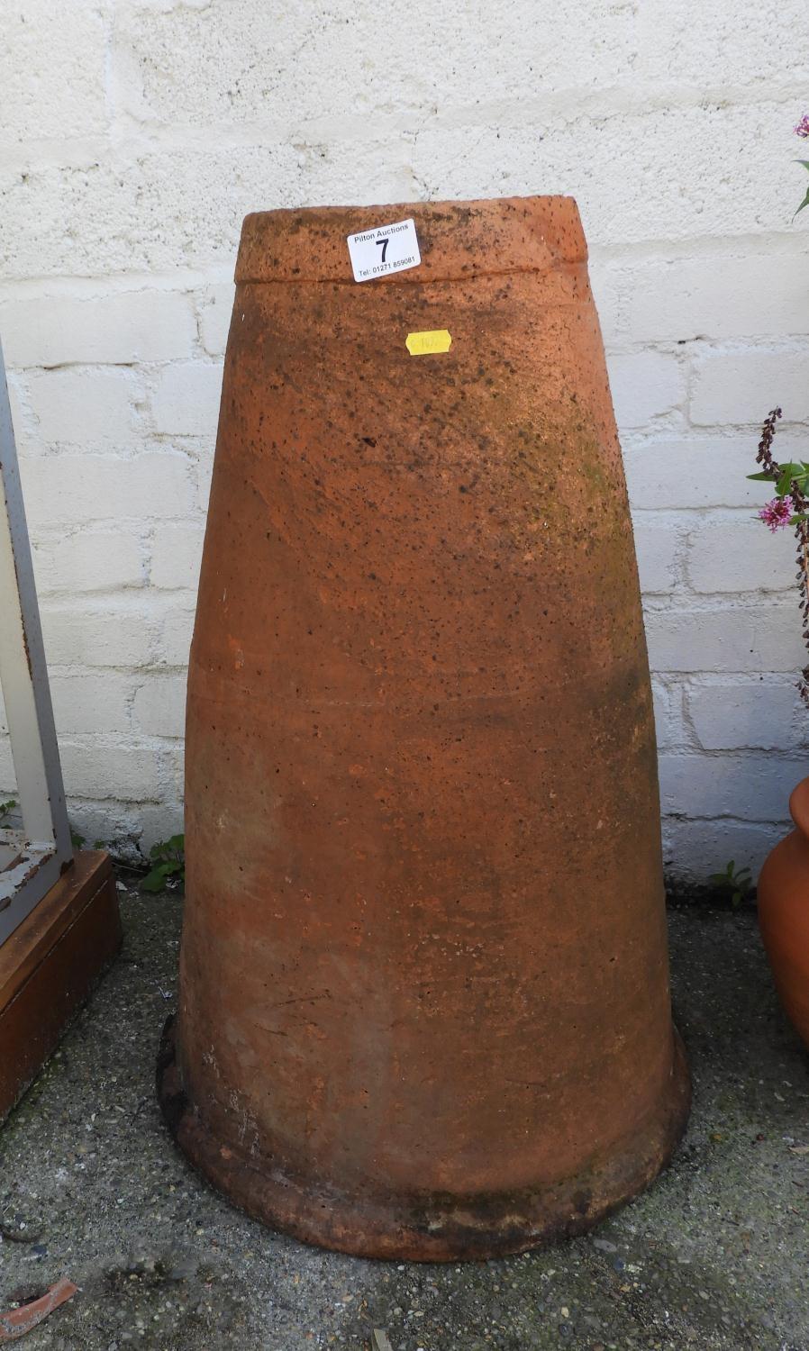 Terracotta Rhubarb Forcer