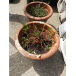 2x Terracotta Garden Planters - 1x A/F