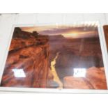 Framed Print - The Grand Canyon