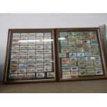 Framed Cigarette Cards