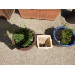 3x Glazed Ceramic Garden Planters