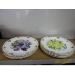 Quantity of Royal Albert Collectors Plates - Flowers