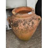 Terracotta Olive Jar