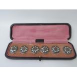 Cased Set of 6x White Metal Buttons - Sunflowers - Marked on Back 'Gesch'