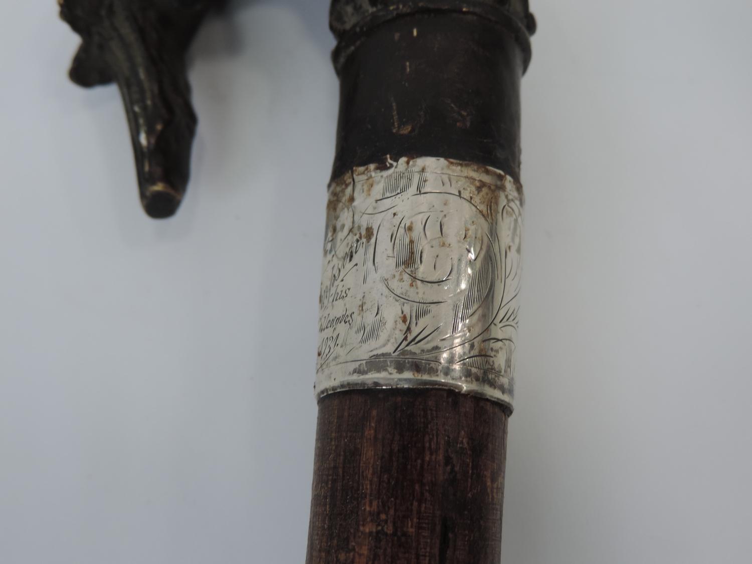 Walking Cane with Bronzed Dog's Head Handle - Image 5 of 5