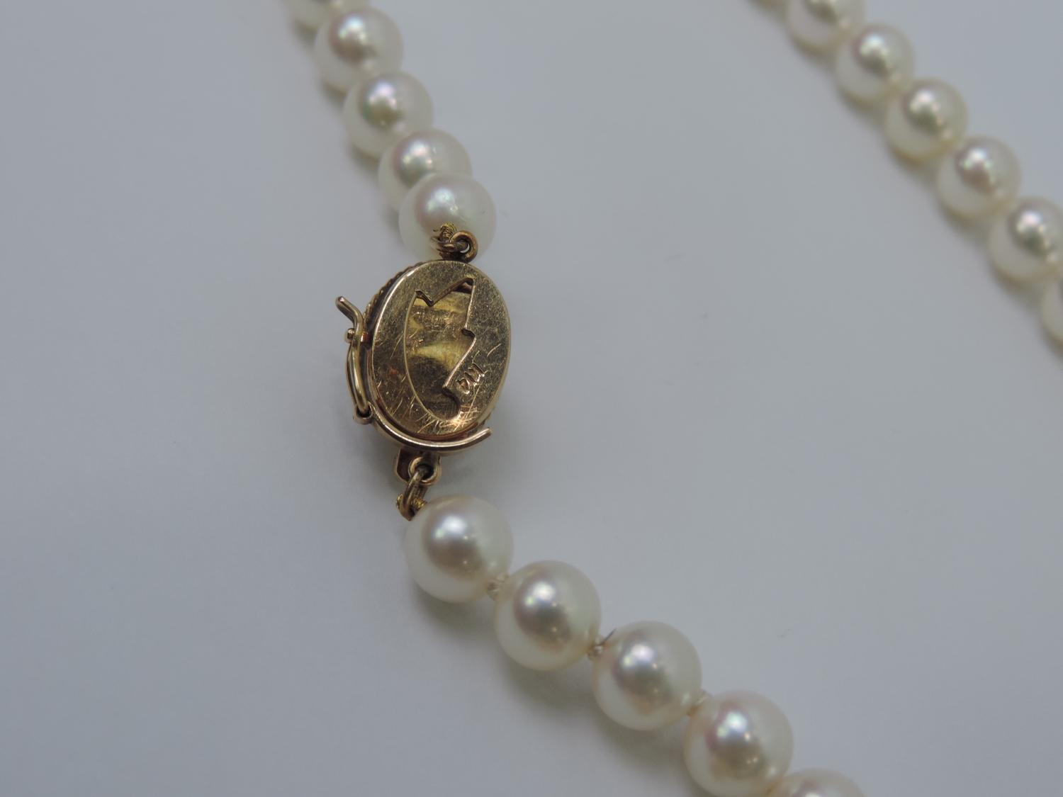 Quantity of Yellow Metal Pearl Jewellery - Hallmarked K14 - Image 5 of 6