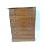 Bank of Eight Pine Specimen Drawers - 18" Wide x 11" Deep x 25" High