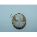 Shell Cameo Brooch Set on 9ct Gold with Safety Chain