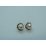 9ct Gold Pearl Stud Earrings