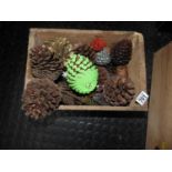 Wooden Box and Contents - Pine Cones