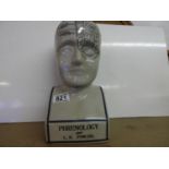 Phrenology Head