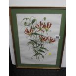 Framed Elizabeth Towner Print