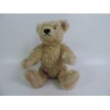 Steiff Jointed Bear for William & Catherine - 26cm High