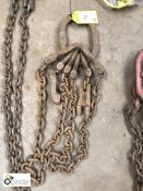 2-leg Lifting Chain, with shorteners