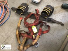 Safety Harness and Tool Belt