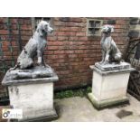 Pair of reconstituted stone French Hunting Hounds, on pl
