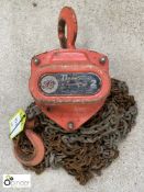 Tiger Chain Block, 2tonnes (please note there is a lift out fee of £10 plus VAT on this lot)