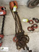 Clarke Chain Block, 1tonne (please note there is a lift out fee of £10 plus VAT on this lot)