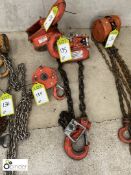 2 Chain Hoists and Lifting Hook (please note there is a lift out fee of £10 plus VAT on this lot)