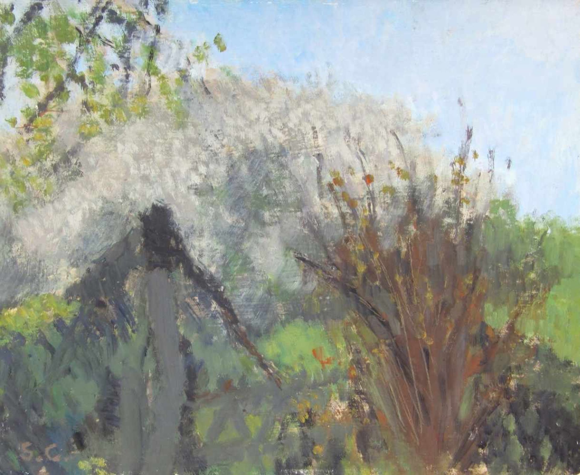 Curio, Sabine (1950 Ahlbeck, lebt in Stolpe/Usedom) „Blühender Schlehenbusch hinterm Zaun“Öl auf