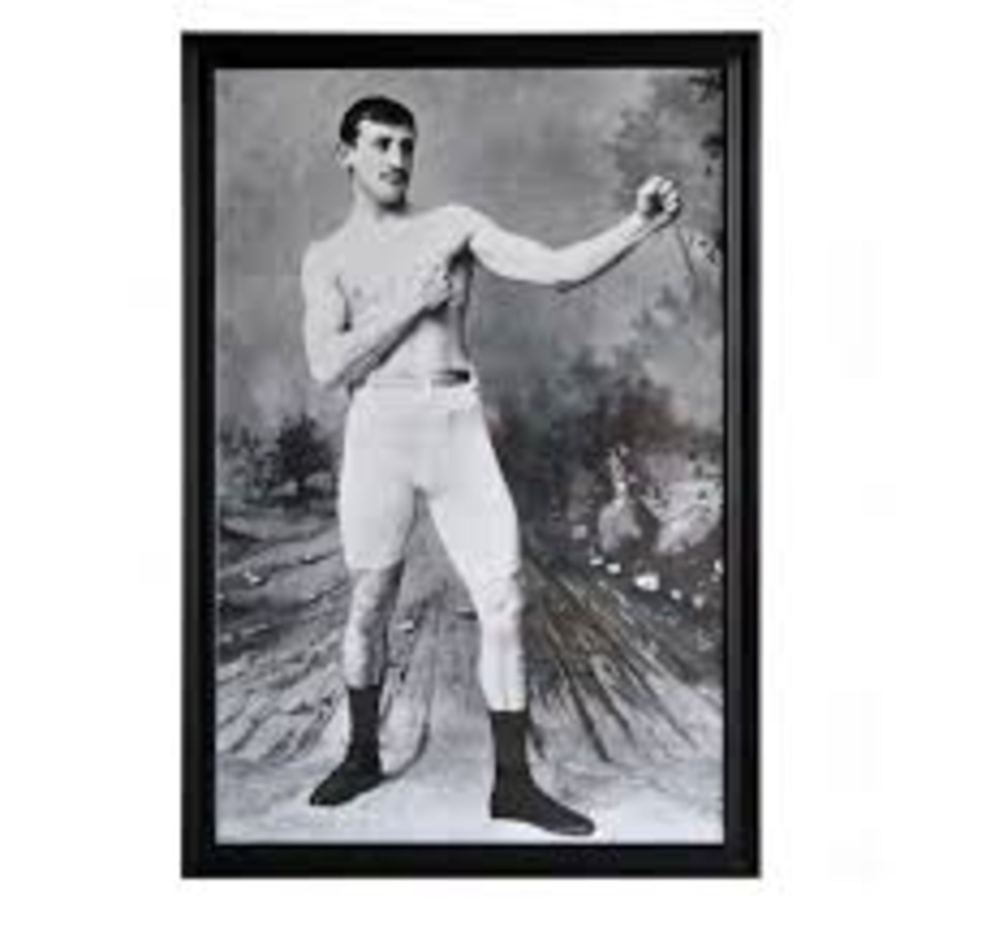 Artline Sporting Boxer Tom Tracy Had Won A Number Of Prestigious Fights In His Native Australia