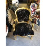 Carver Chair black velvet effect seat on a baroque style gold painted frame 60 x 45 x 89cm