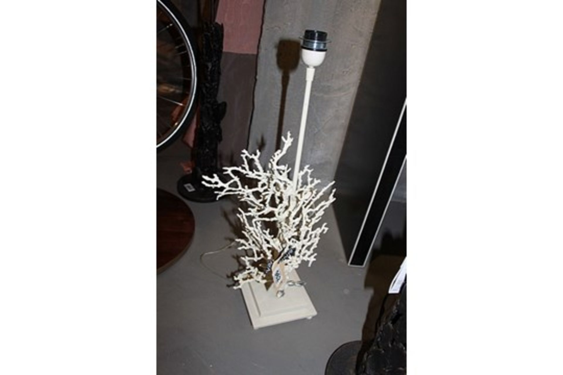 Table Lamp Coral Stand Displays A Decoratively Ornate Cluster Of Fine Coral Wrapped Around The