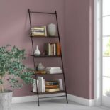 Ladder Bookcase This Great Bookcase Ladder Shelves Provides The Home To Display Books And Decorative