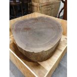 Colossus Log Coffee Table Huge Petrified Log Straight From The Forest Into Your Home Comes Colossus,