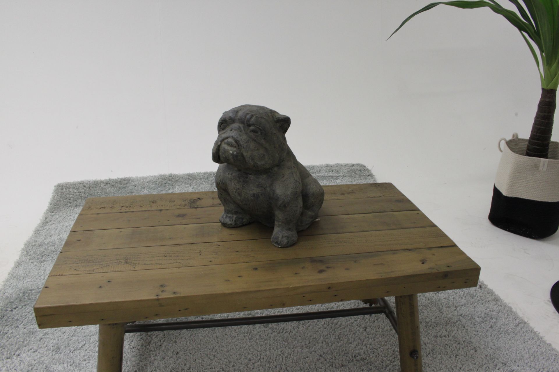 Set Of 2 Bulldogs Resin Sculptures Realistic And Amazing Features 20 X 35 X 32cm (Loc Grc02) - Image 3 of 3