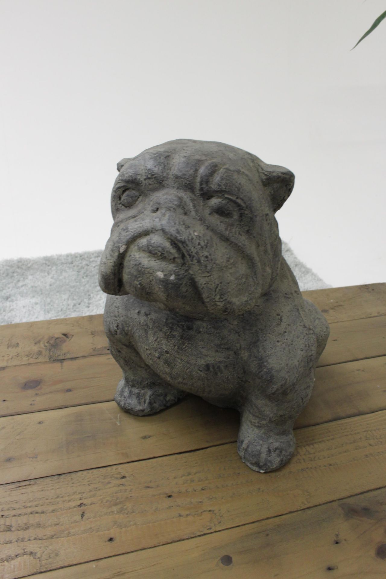 Set Of 2 Bulldogs Resin Sculptures Realistic And Amazing Features 20 X 35 X 32cm (Loc Grc02) - Image 2 of 3