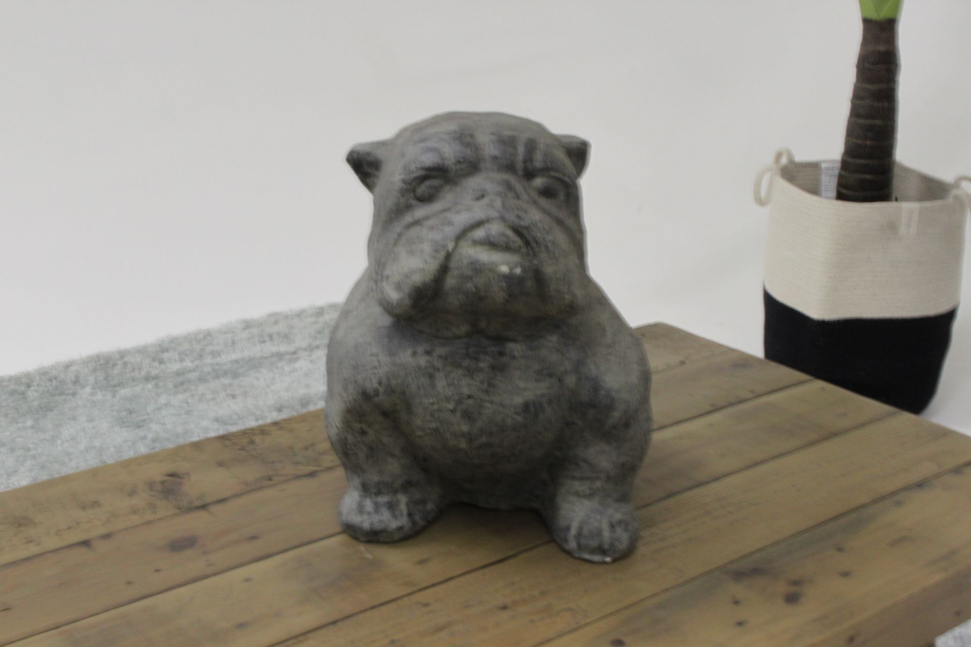 Set Of 2 Bulldogs Resin Sculptures Realistic And Amazing Features 20 X 35 X 32cm (Loc Grc02)