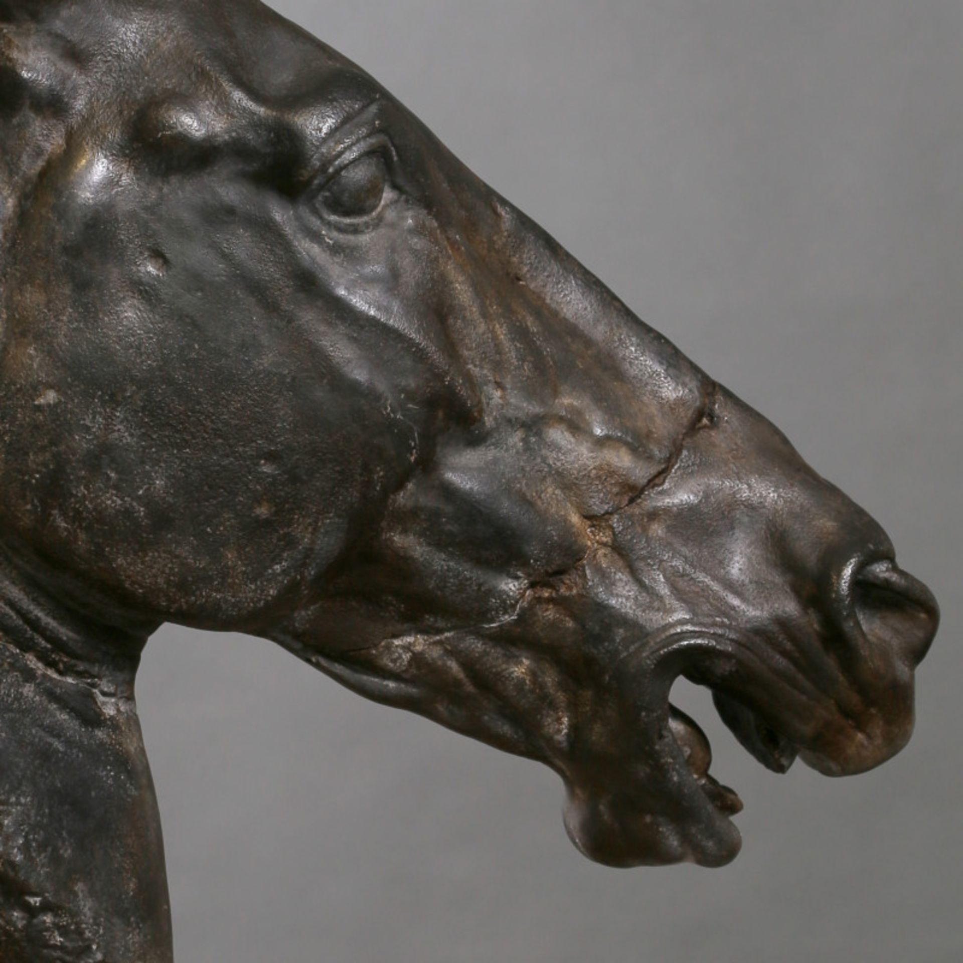 Horse Head Composite Sculpture This Horse Head Originally Comes From A Fresco Decorating The Fronton - Image 3 of 5