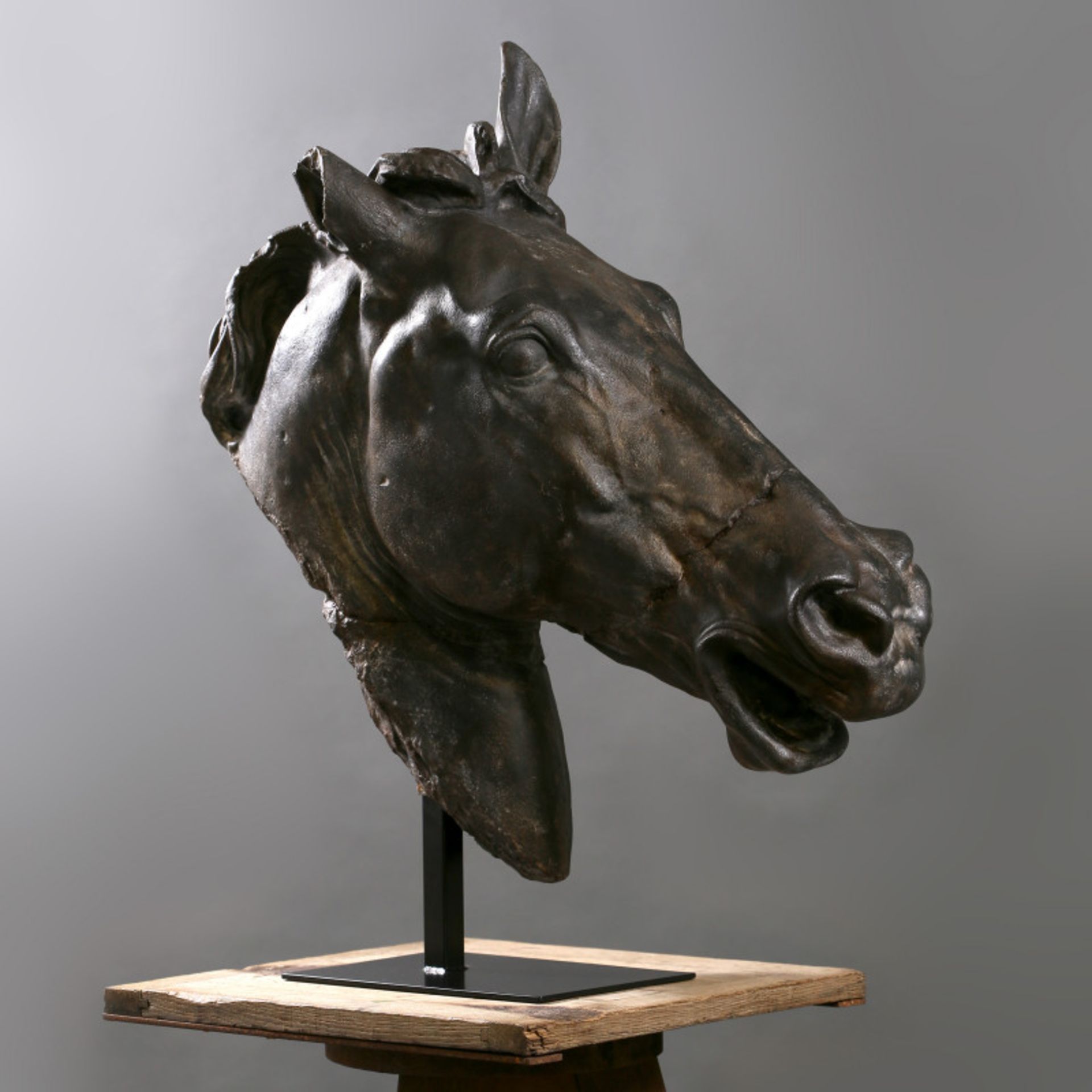 Horse Head Composite Sculpture This Horse Head Originally Comes From A Fresco Decorating The Fronton - Image 2 of 5