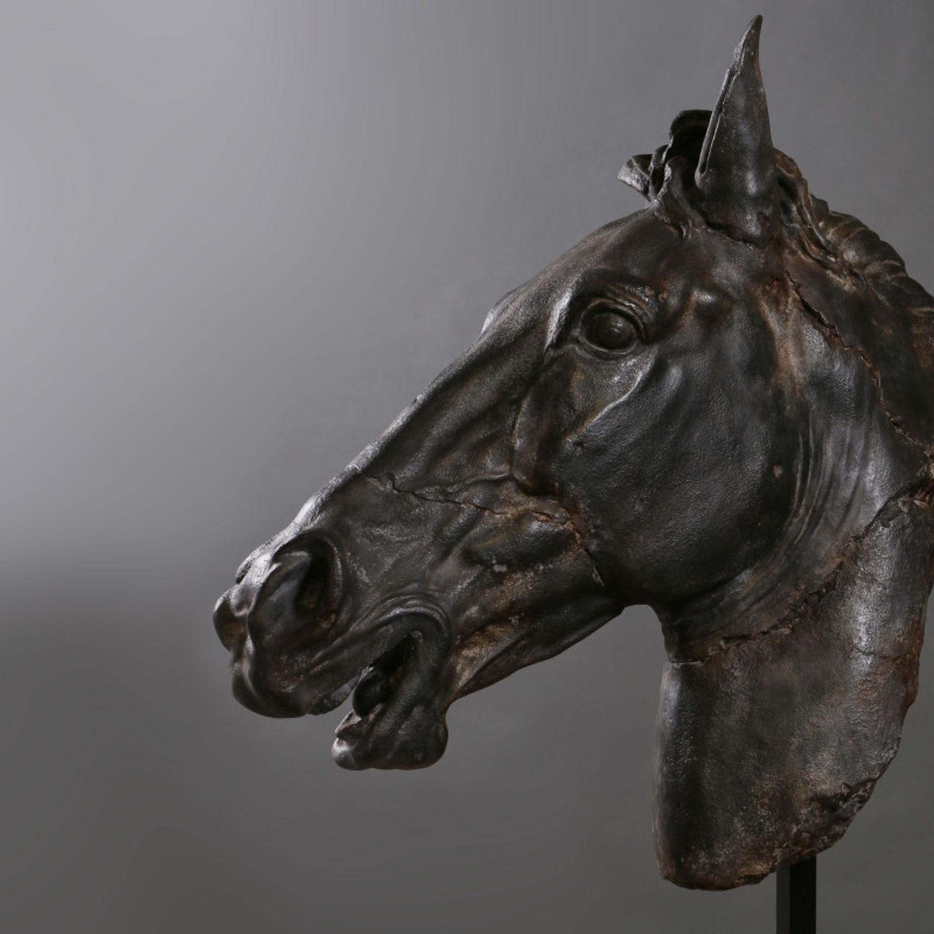 Horse Head Composite Sculpture This Horse Head Originally Comes From A Fresco Decorating The Fronton - Image 4 of 5