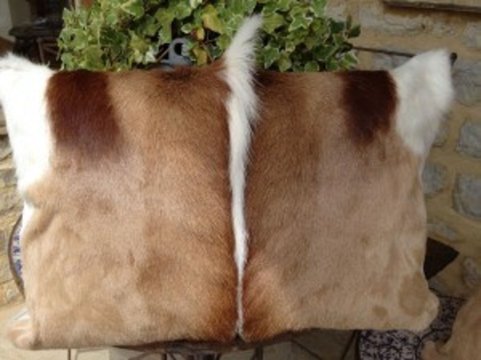 Springbok Cushions A Beautiful Set Of 4 x Genuine African Handcrafted Springbok Hide Cushion