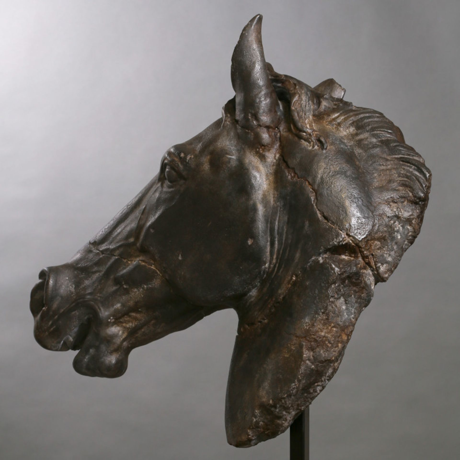 Horse Head Composite Sculpture This Horse Head Originally Comes From A Fresco Decorating The Fronton - Image 5 of 5