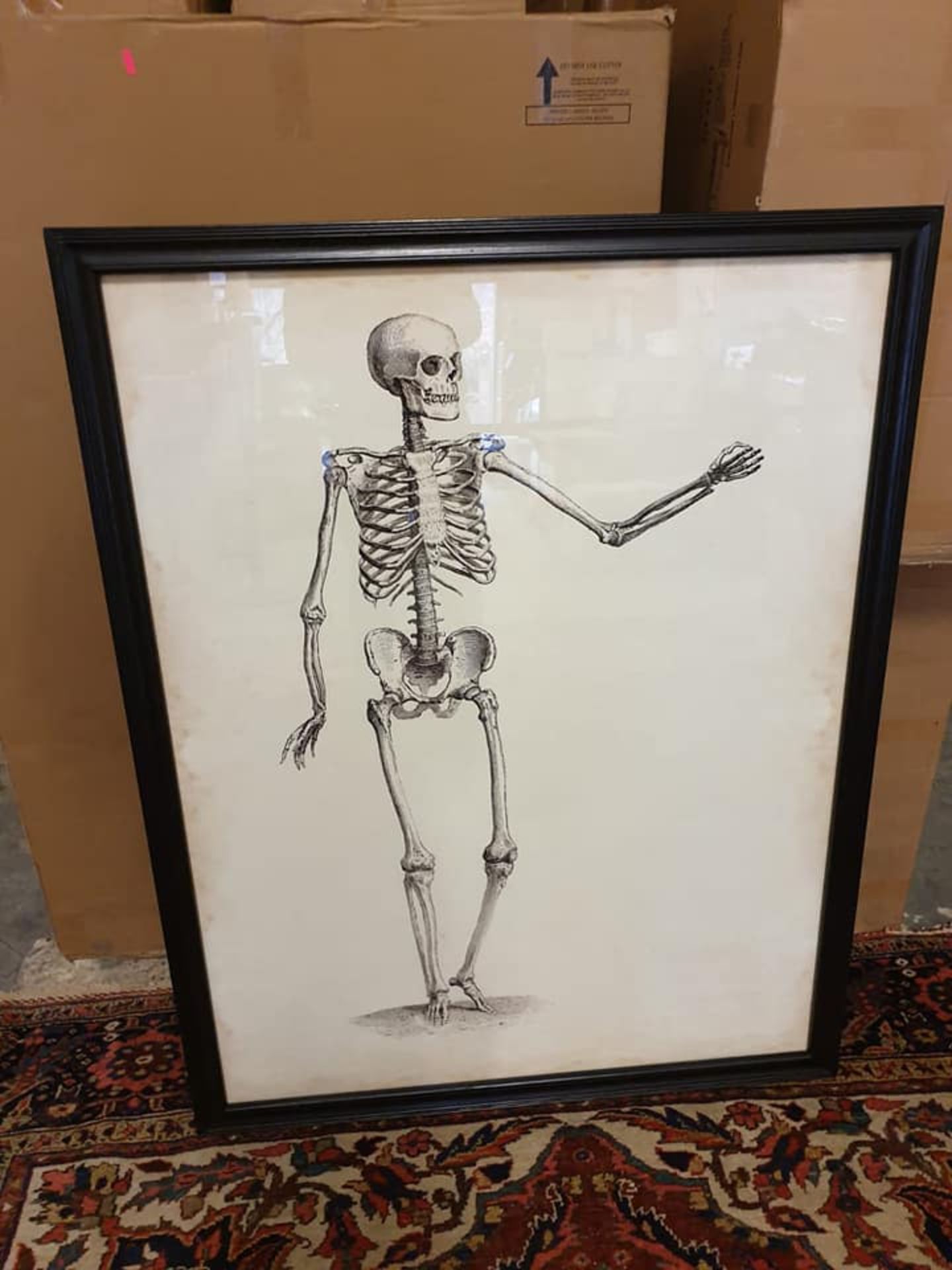 Timothy Oulton Skeleton Wall Art This cheeky skeleton is taken from an early 18th century