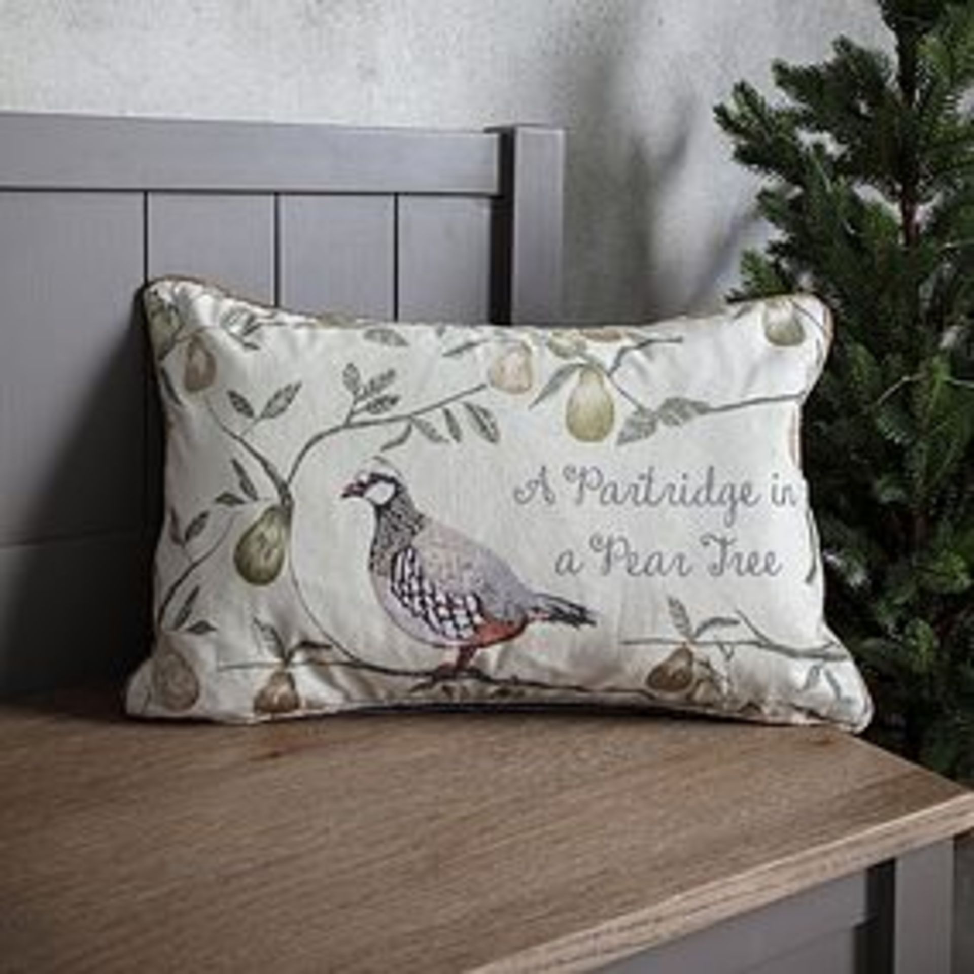 Feather Filled Cushion