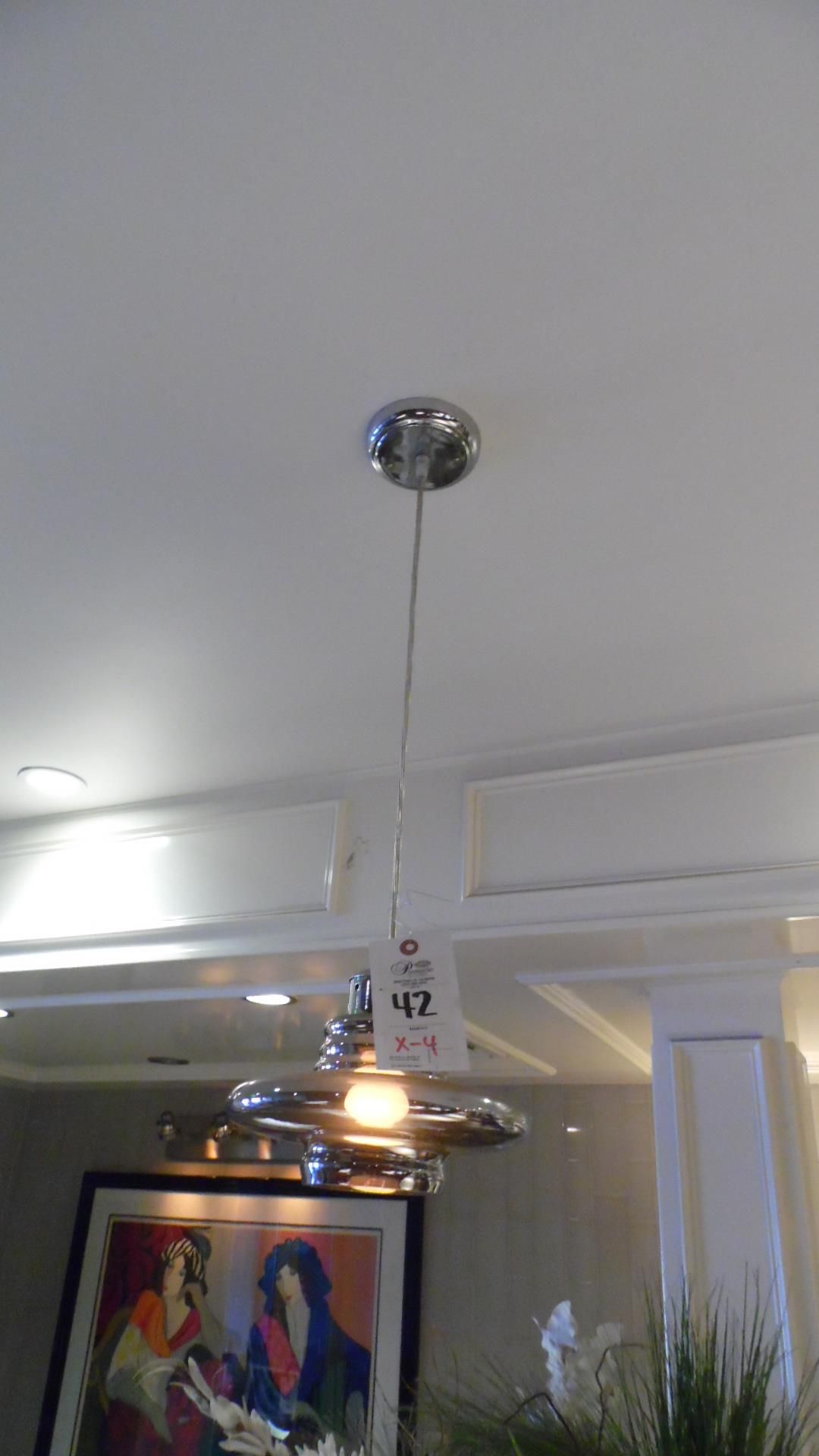 CEILING DROP DOWN FIXTURES