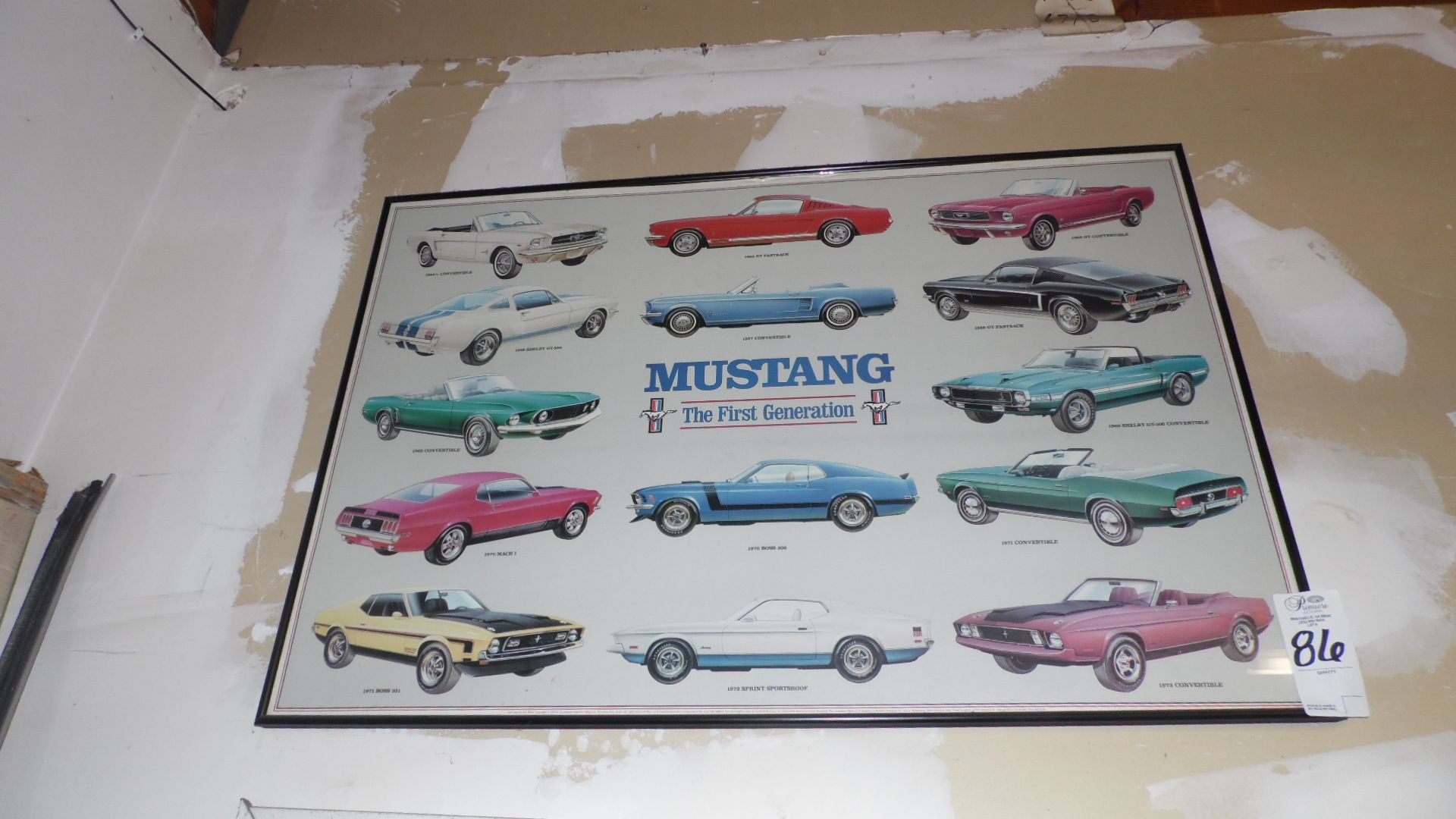 MUSTANG PICTURE
