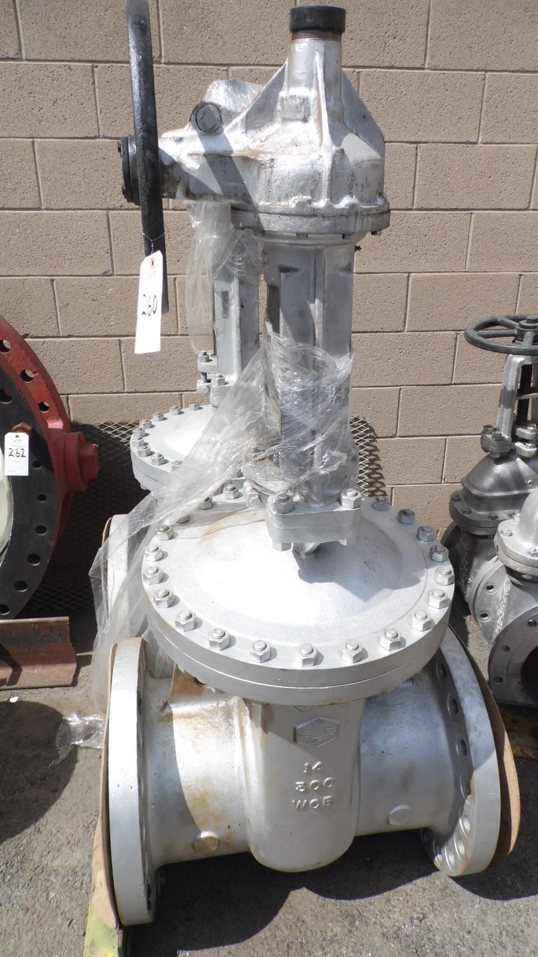 WCB 14" CLASS 300 GATE VALVE/MULTIPLIER