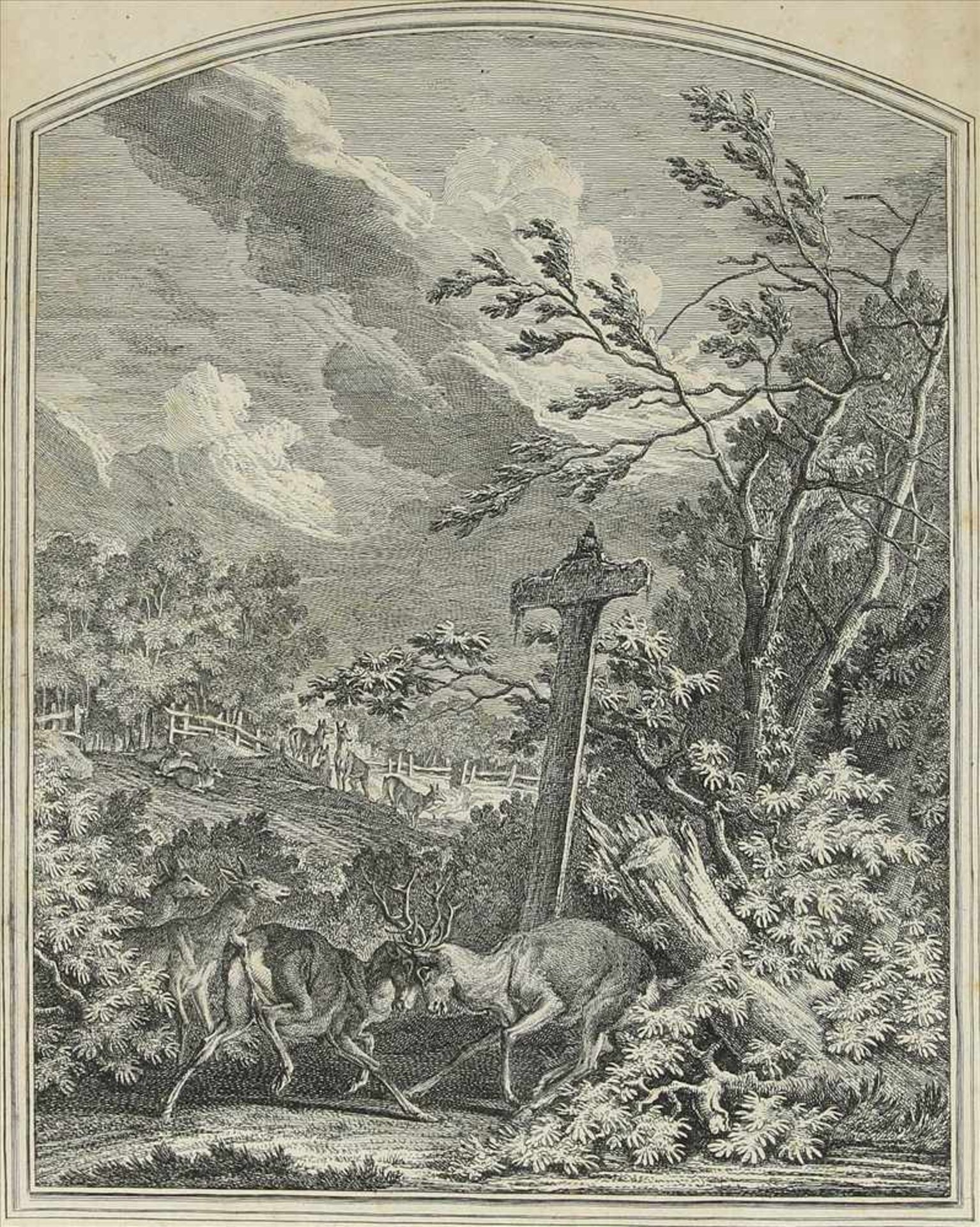 Ridinger, Johann Elias1698 Ulm - 1767 Augsburg. Kupferstich. Kämpfende Brunft Hirsche. Unten